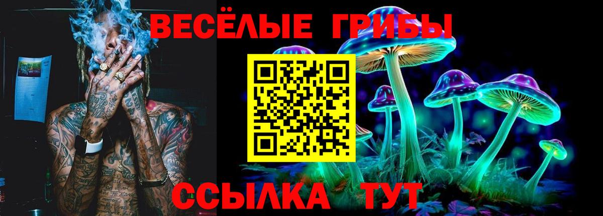 Псилоцибиновые грибы мицелий  Вход с VPN  Иваново 
